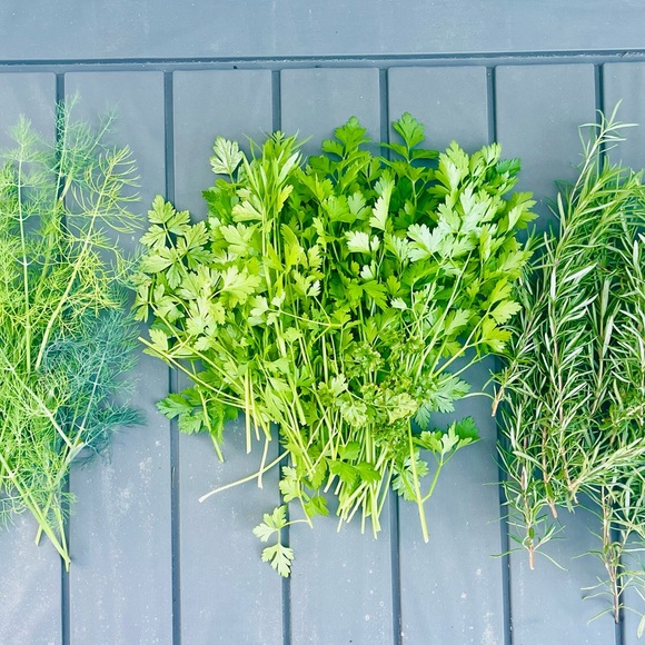 Meet your Posher, Sandi - Picture 3 of 4